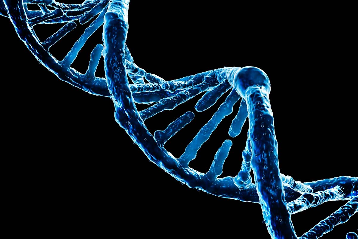 DNA Testing Airile Beach Whitsundays