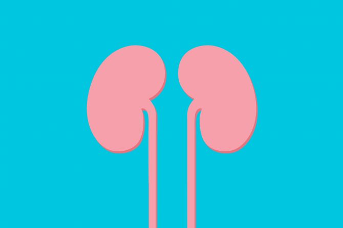 How’re your kidneys?